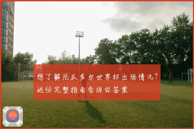 想了解厄瓜多尔世界杯出场情况?这份完整指南告诉你答案