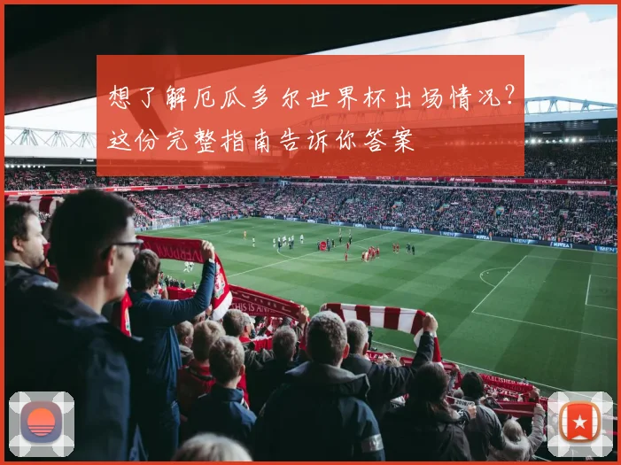想了解厄瓜多尔世界杯出场情况?这份完整指南告诉你答案