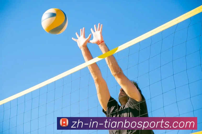 天博综合体育平台生态图