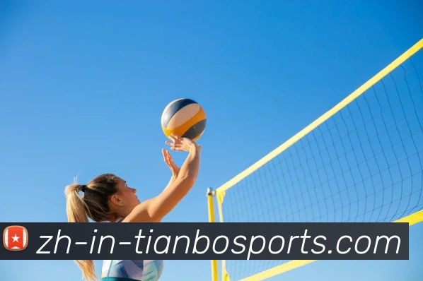 辅助工具 辅助工具